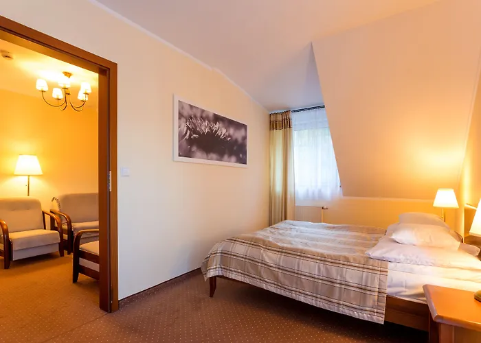 Relaks Wellness & Hotel Karpacz