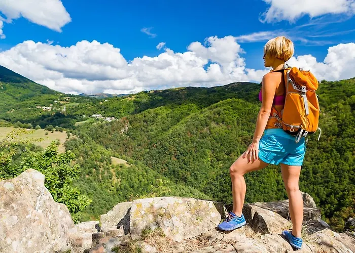 Relaks Wellness & 3* Karpacz